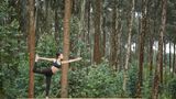 <b>One&Only Gorilla's Nest Recreation</b>. Images powered by <a href="https://iceportal.shijigroup.com/" title="IcePortal" target="_blank">IcePortal</a>.