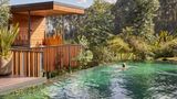 <b>One&Only Gorilla's Nest Pool</b>. Images powered by <a href="https://iceportal.shijigroup.com/" title="IcePortal" target="_blank">IcePortal</a>.