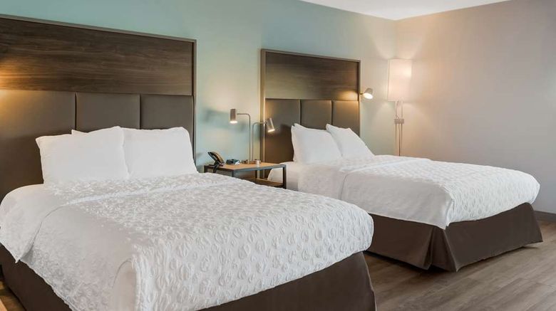 <b>Tru by Hilton Greensboro Room</b>. Images powered by <a href="https://iceportal.shijigroup.com/" title="IcePortal" target="_blank">IcePortal</a>.