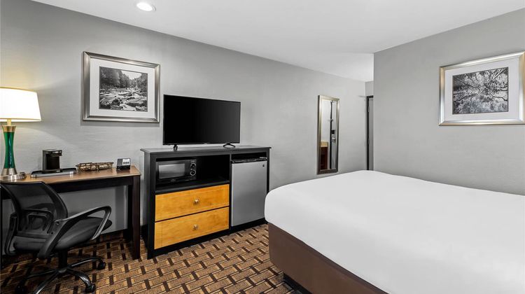 Quality Inn Room