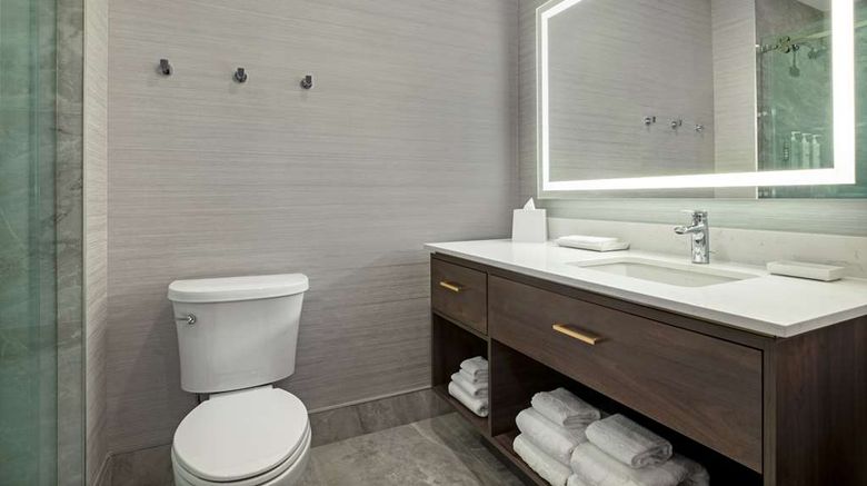 <b>Home2 Suites by Hilton Huntsville Room</b>. Images powered by <a href="https://iceportal.shijigroup.com/" title="IcePortal" target="_blank">IcePortal</a>.