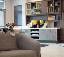 Home2 Suites by Hilton Huntsville Lobby
