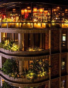 Tribe Medellin