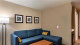 Comfort Inn & Suites Charlottesville Suite
