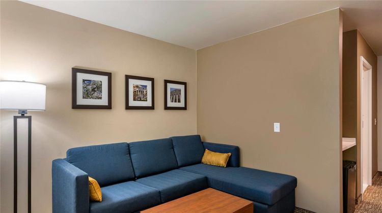 Comfort Inn & Suites Charlottesville Suite
