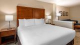 Comfort Inn & Suites Charlottesville Suite