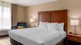 Comfort Inn & Suites Charlottesville Room