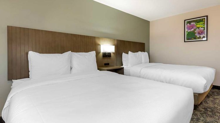 Best Western North Side Inn Room