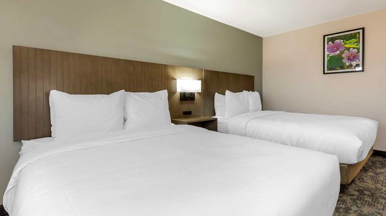 <b>Best Western North Side Inn Room</b>. Images powered by <a href="https://iceportal.shijigroup.com/" title="IcePortal" target="_blank">IcePortal</a>.
