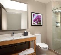 Hyatt Place Monterrey Valle Room
