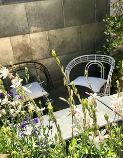 Hotel Recamier