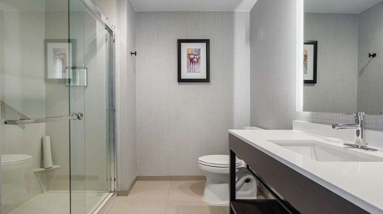 <b>Hyatt Place San Carlos Room</b>. Images powered by <a href="https://iceportal.shijigroup.com/" title="IcePortal" target="_blank">IcePortal</a>.