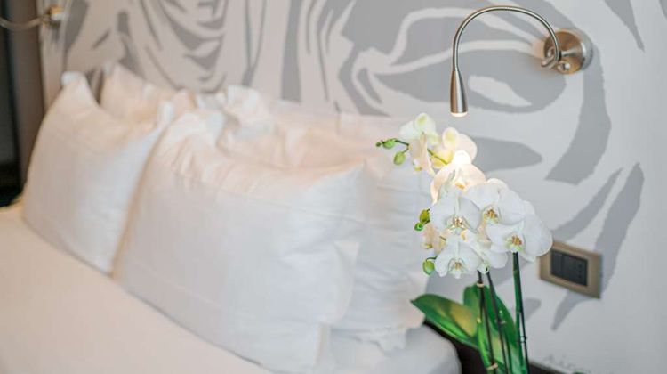 Hotel Franz Room