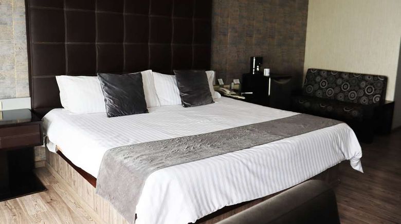 <b>Wyndham Garden Aguascalientes Suite</b>. Images powered by <a href="https://iceportal.shijigroup.com/" title="IcePortal" target="_blank">IcePortal</a>.