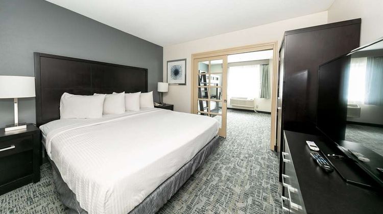 Best Western San Diego Zoo/SeaWorld Area Room