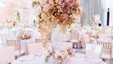 Waldorf Astoria Washington DC Meeting