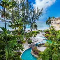Bougainvillea Barbados