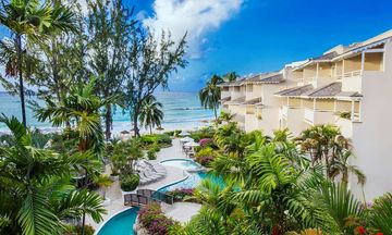 Bougainvillea Barbados