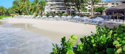 Bougainvillea Barbados Exterior