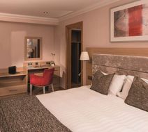 The Carlton Hotel Room