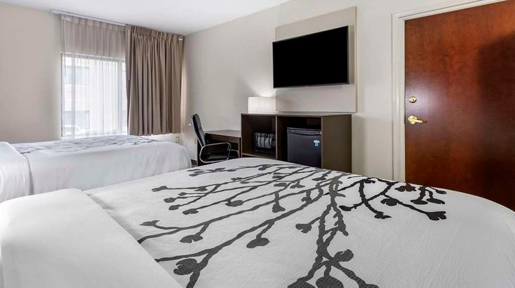 Sleep Inn and Suites Grovetown - Augusta West Room