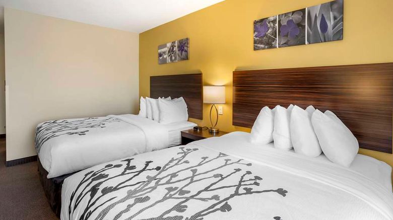 <b>Sleep Inn York Room</b>. Images powered by <a href="https://iceportal.shijigroup.com/" title="IcePortal" target="_blank">IcePortal</a>.