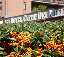 Citta Dei Mille Hotel Exterior