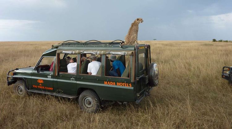 Fig Tree Camp - All Inclusive Other