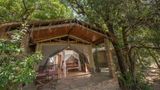 Fig Tree Camp - All Inclusive Room