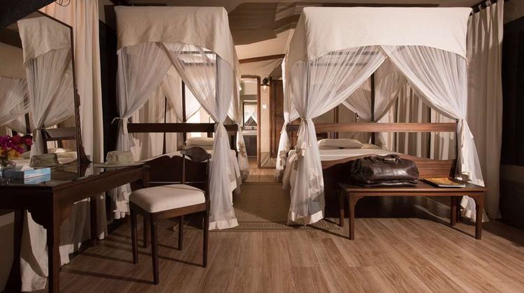 Fig Tree Camp - All Inclusive Room