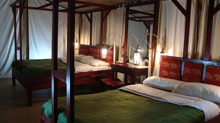 Fig Tree Camp - All Inclusive Room