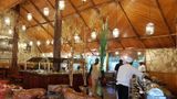 Fig Tree Camp - All Inclusive Restaurant