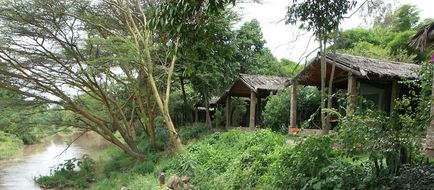 Fig Tree Camp - All Inclusive Exterior