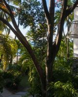 Siboney Beach Club