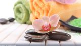Mango Lagoon Resort & Wellness Spa Spa