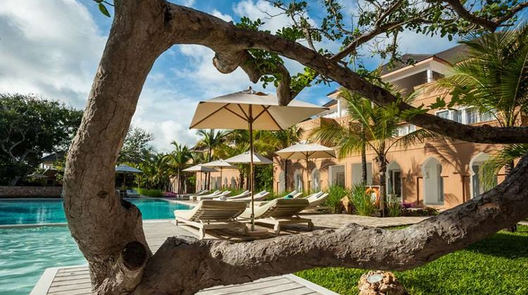 Medina Palms Pool