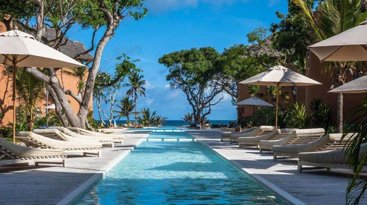 Medina Palms Pool