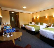 Tullamore Court Hotel Room