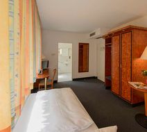 Hotel Minerva Room
