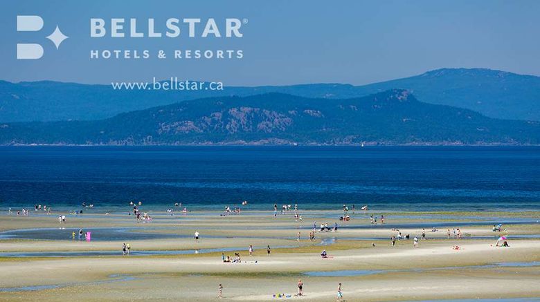 <b>The Beach Club Resort Beach</b>. Images powered by <a href="https://iceportal.shijigroup.com/" title="IcePortal" target="_blank">IcePortal</a>.