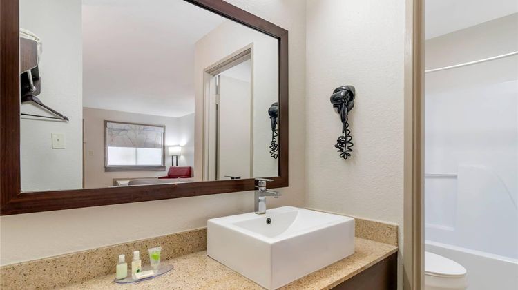 Quality Inn & Suites Fiesta Park Room