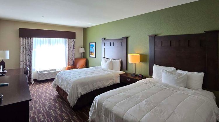Comfort Inn & Suites Room