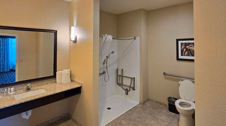 <b>Comfort Inn & Suites Room</b>. Images powered by <a href="https://iceportal.shijigroup.com/" title="IcePortal" target="_blank">IcePortal</a>.