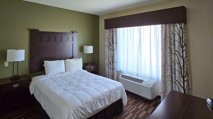 Comfort Inn & Suites Room