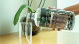 <b>The Paragon Hotel Santa Fe by Accor Other</b>. Images powered by <a href="https://iceportal.shijigroup.com/" title="IcePortal" target="_blank">IcePortal</a>.