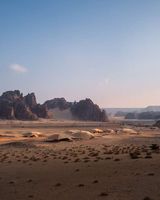Banyan Tree AlUla