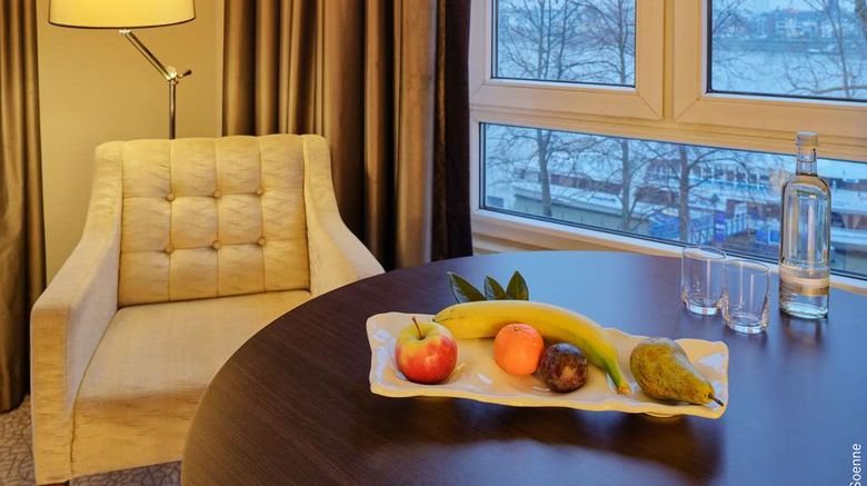 <b>Dorint Hotel Bonn Other</b>. Images powered by <a href="https://iceportal.shijigroup.com/" title="IcePortal" target="_blank">IcePortal</a>.