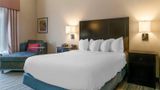 Comfort Inn & Suites North Toledo Room
