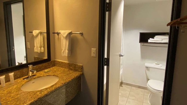 <b>Wingate by Wyndham Chandler Room</b>. Images powered by <a href="https://iceportal.shijigroup.com/" title="IcePortal" target="_blank">IcePortal</a>.