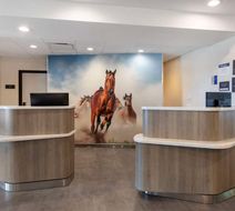 Best Western Plus Fort Worth North Lobby